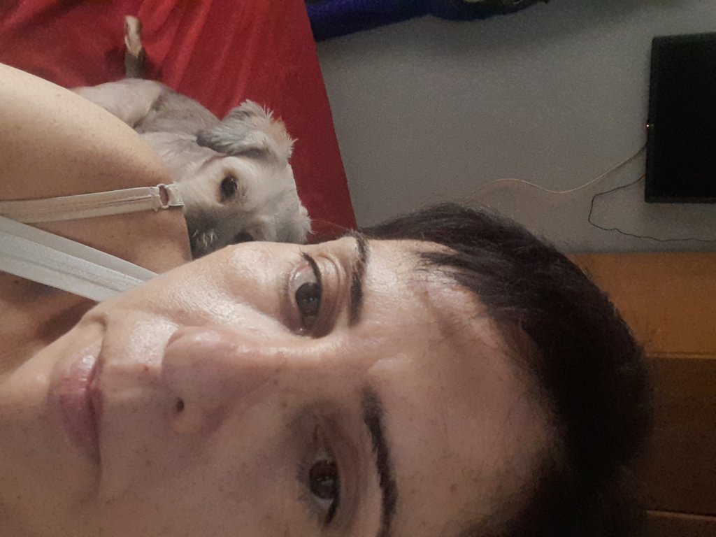 Imagen de Conocer gente en elche para salir