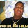 elportal2013