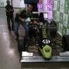 herbalife