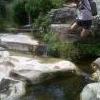 Galopin