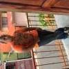 Alfonsojose91