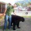 rafa0877
