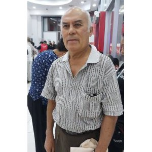 fernandini
