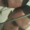 caleii