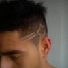 manglar