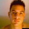 lobogris4