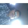 tierno7301