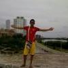 deimer