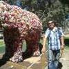 Manel49tauro