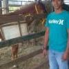 DIMECO