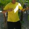 susuanis