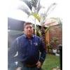 carlosjose77