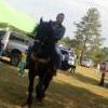 Garlandrill95
