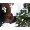 Spartanwolf0310