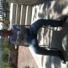 yerry89