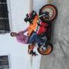 Lince1123