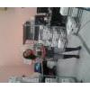anguiano