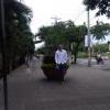 Joseluis123