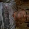 freddy8560