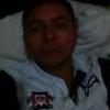 arvey