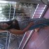 gabygene