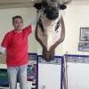 Juanselva