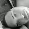 jasset