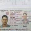hernan7
