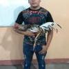 maycol90