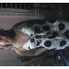 lizandra59