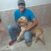carlosluis65