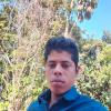 elvin37