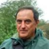 luis8236