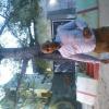 Ariel884
