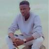 lamine