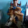 SergioOrlando11