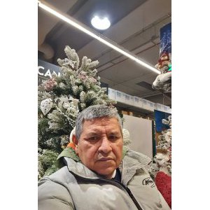 Gioes