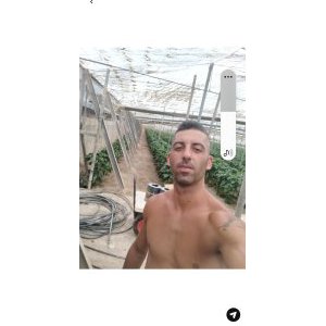 DenisEjido34
