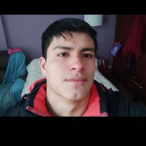 Leoeo33
