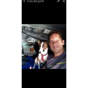 Asturcon79365