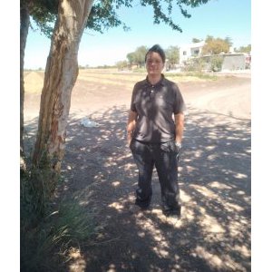 Viento525