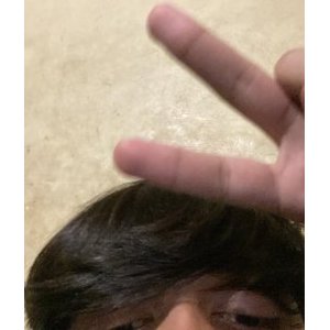 Dmanx