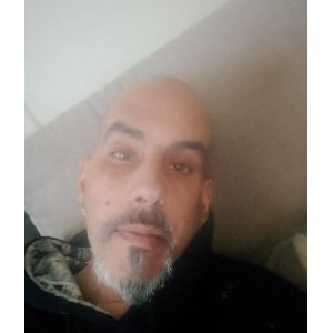 Pery19786543
