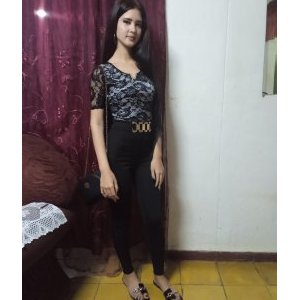 Yeni2501