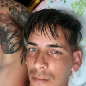 Willybr